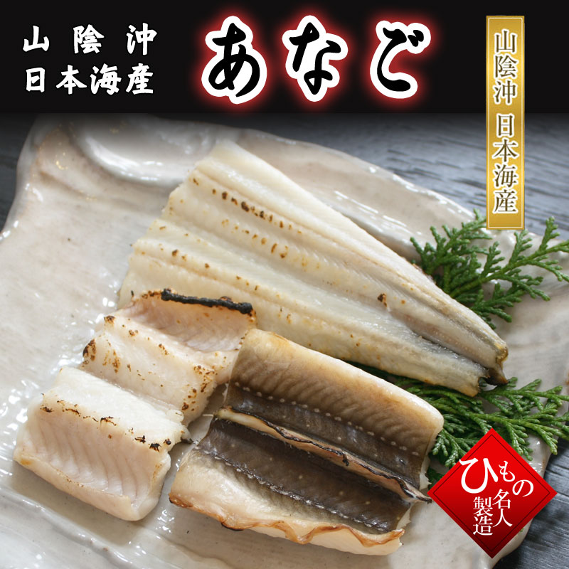 干物(単品)あなご(穴子・アナゴ) 山陰沖日本海産(鳥取県・島根県産)