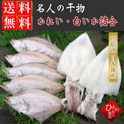 干物（ひもの）詰合　白いか・えてかれい　2種詰合-7尾【送料無料】