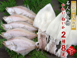 干物（ひもの）詰合　白いか・えてかれい　2種詰合-8尾【送料無料】