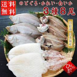 干物（ひもの）詰合　のどぐろ・えてかれい・白いか3種詰合-8尾
