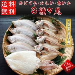 干物（ひもの）詰合　のどぐろ・えてかれい・白いか3種詰合-9尾
