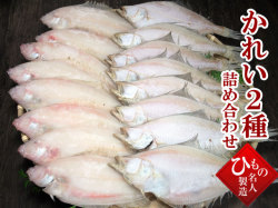 干物（ひもの）詰合　笹かれい・えてかれい詰合　【送料無料】