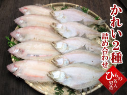 干物（ひもの）詰合　笹かれい・えてかれい詰合　【送料無料】