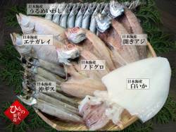 干物（ひもの）昴－12尾詰合 【送料無料】※東北・北海道・沖縄は送料520円をお願いします。