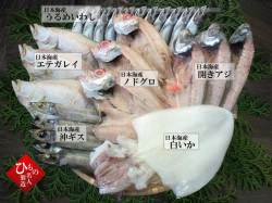 干物（ひもの）父の日特別セット－12尾詰合 【送料無料】※東北・北海道・沖縄は送料520円をお願いします。