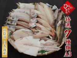 名人の干物7種-A3