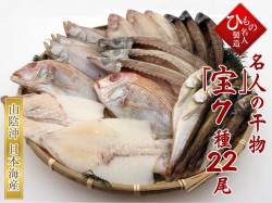 干物（ひもの） ７種（連子鯛入り）詰合-宝22尾　【送料無料】