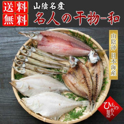 名人の干物-和
