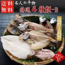 名人の干物4種-B