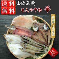 名人の干物-華