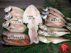 名人の干物5種-B