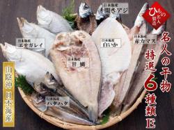 名人の干物６種