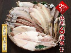 名人の干物6種-G