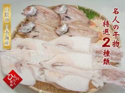 干物2種(のどぐろ中、白いか）詰合-B　【送料無料】