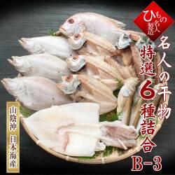 名人の干物　祝-17_640