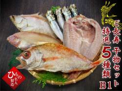 ご長寿干物セット特選5種類B1