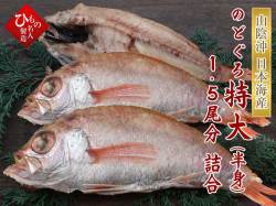 ノドグロ特大半身セット1.5尾分