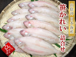 干物（ひもの）詰合　笹かれい（柳かれい）詰合　【送料無料】