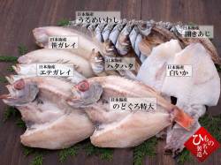 干物（ひもの）詰合　老舗のこだわり7種セット-A【送料無料】