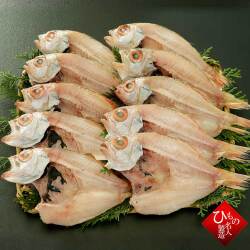 のどぐろ　ノドグロ　10枚