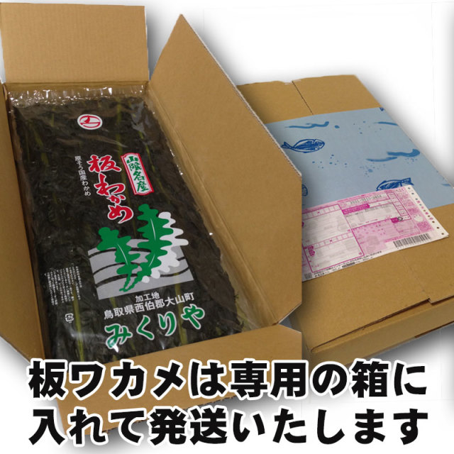 わかめ　ワカメ