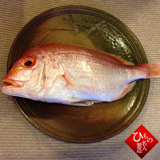 干物 単品 連子鯛丸干し れんこだい 山陰沖日本海産