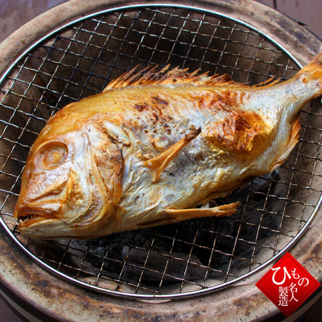 干物 単品 連子鯛丸干し れんこだい 山陰沖日本海産