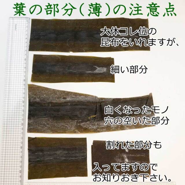 ショパンを聴きながら　訳あり注意　匿名配送　クロネコメール便にて発送　送料無料 ショパンを聴きながら訳あり注意匿名配送クロネコメール便にて