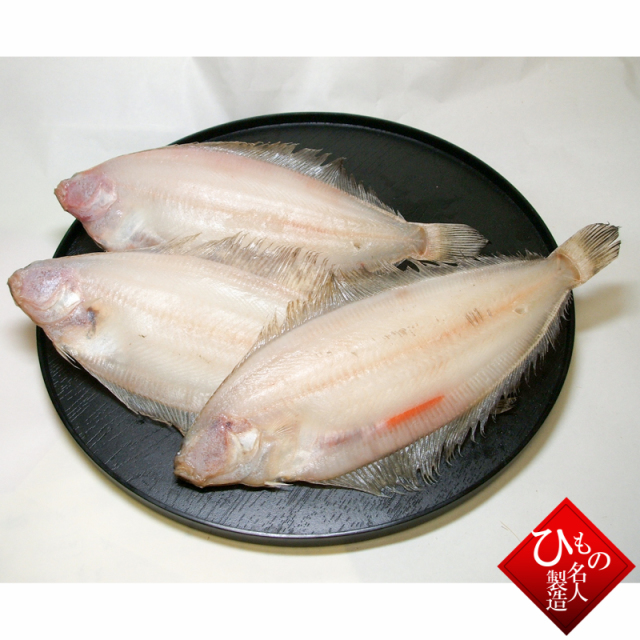 山陰沖日本海産　笹ガレイ　かれい