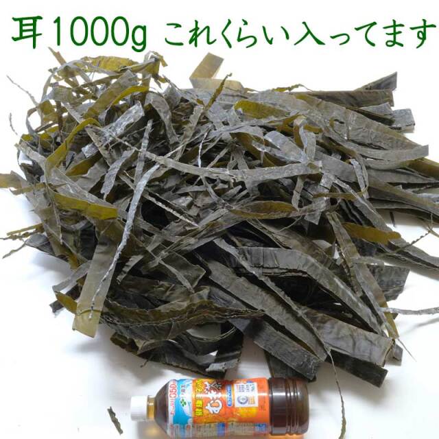 冬島昆布 1kg 北海道産 冬島昆布 1kg（北海道 様似町冬島産）｜【北海道ぎょれん｜お