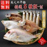 ５種-Mセット