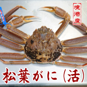 松葉ガニ