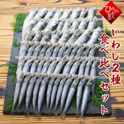 名人の干物(ひもの)　いわし2種（真いわし・うるめいわし）　食べ比べセット 干物セット【 お礼  お祝い 】 感謝の干物セット【送料無料】※北海道・沖縄は送料1100円をお願いします。