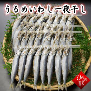 名人の干物(ひもの)　うるめいわし(うぶき)一夜干し詰合 【 お礼  お祝い 】 感謝の干物セット【送料無料】※北海道・沖縄は送料1100円をお願いします。