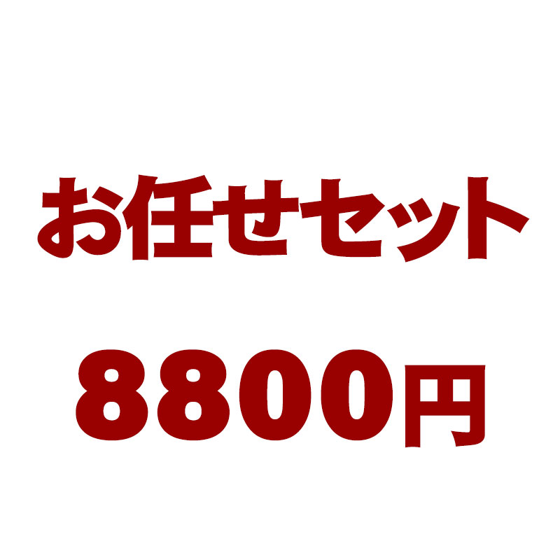 送料無料   おまかせ 干物セット