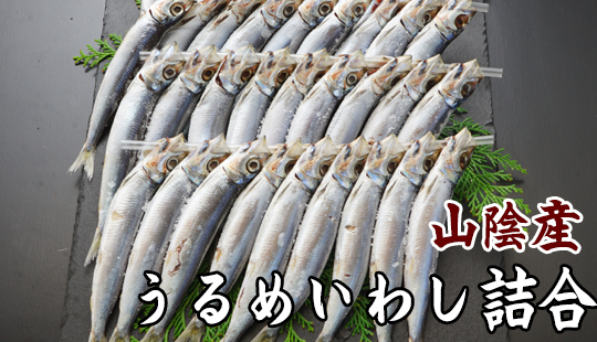 干物市場ドットコム 山陰の干物通販