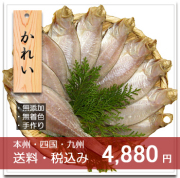 カレイ