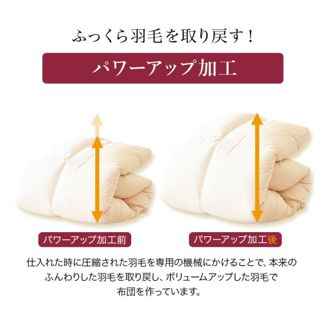 羽毛布団 布団 ロイヤルゴールドラベル 4点セット 枕 掛け布団