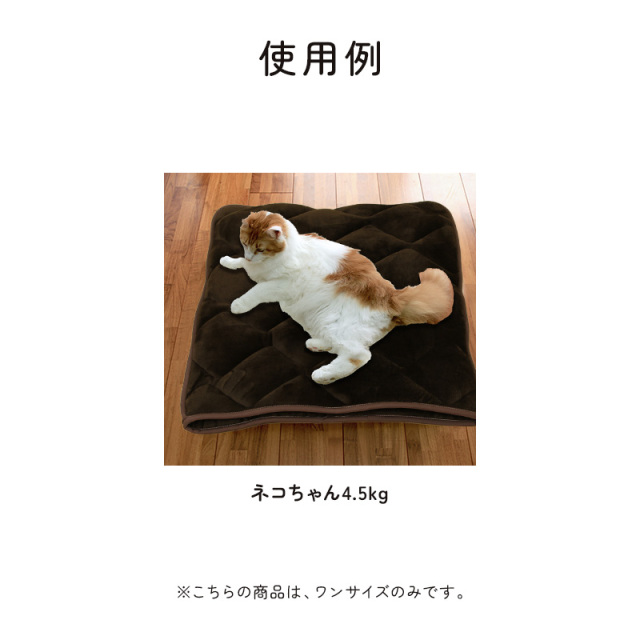 はいるにゃん」おふとん屋さんが作ったねこのふとん フランネル ペット