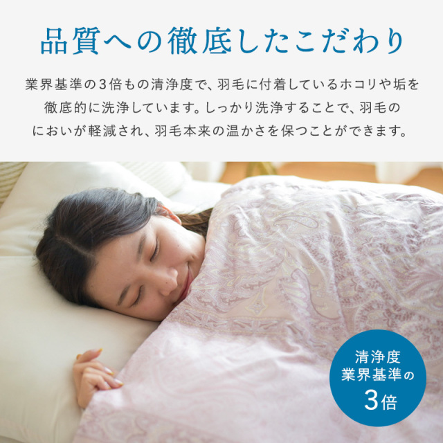 WDD90％羽毛肌掛け ダウンケット お買得2枚組 SL ry0263set ひなたの