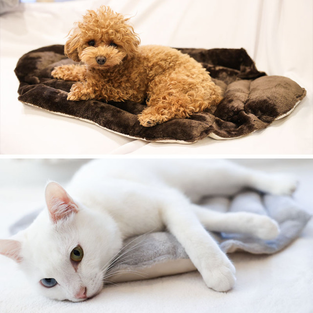 おふとん屋さんが作ったペットのおふとん マネキハウス S/M/L