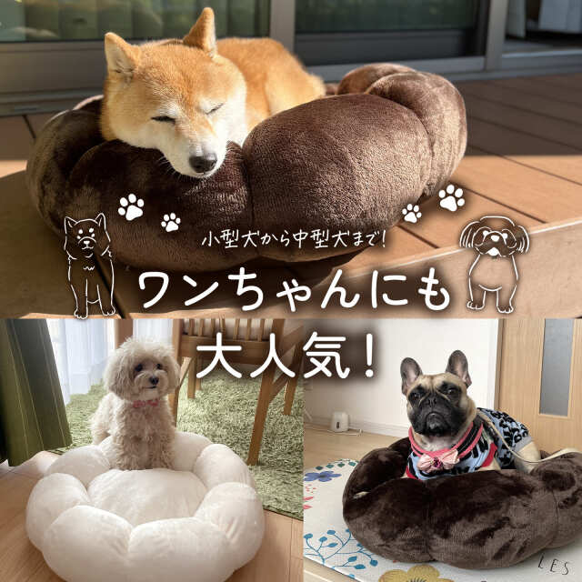 おふとん屋さんが作ったペットのおふとん もちもちドーナツベッド S/M