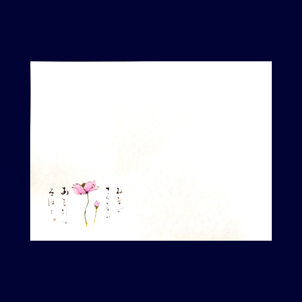 溝端紙工印刷 ランチョンマット 坊野 270×364mm 1000入