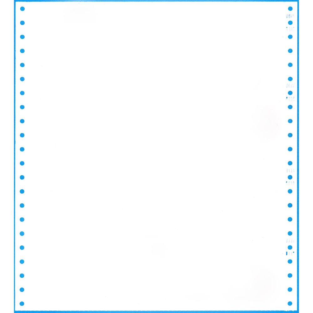 ストックフォーム　10×11インチ　白紙　（1000組）　2P(2枚複写）
