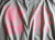 hinolismo迷えるＴシャツ-CUICA(クイーカ)