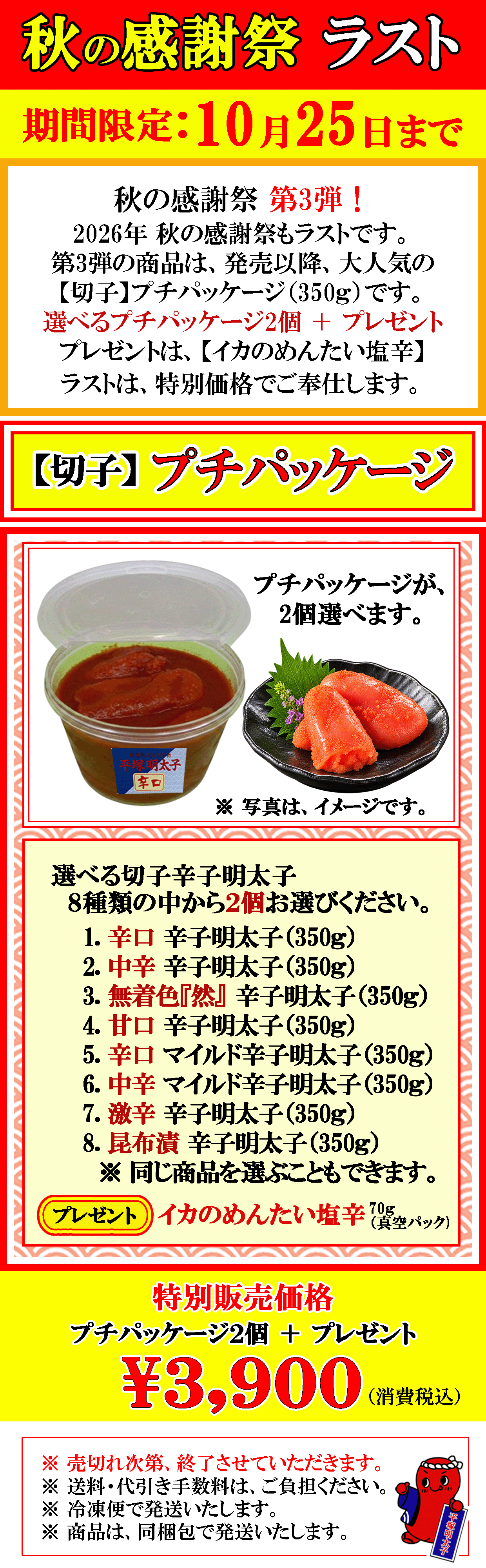 特別価格　今年最後の秋の感謝祭　大人気のプチパッケージ　プレゼント付！