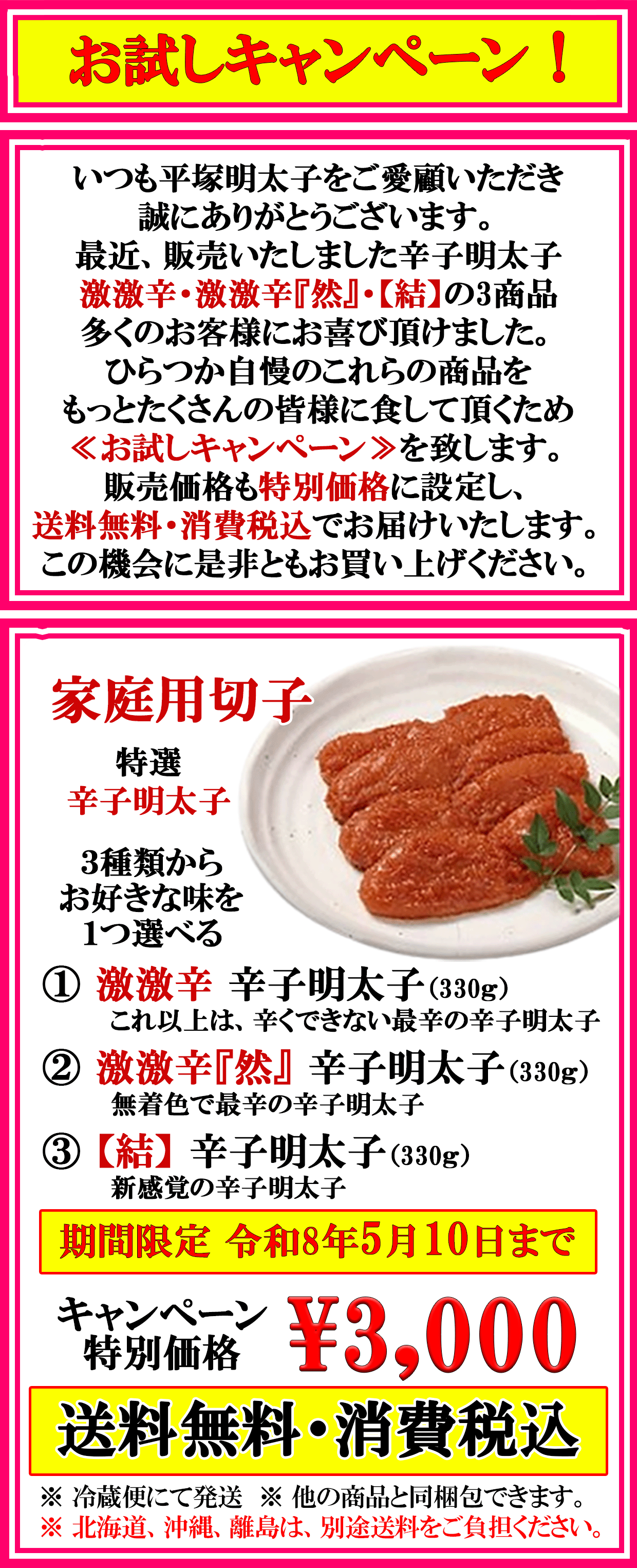お試しキャンペーン 期間限定！　送料無料・消費税込