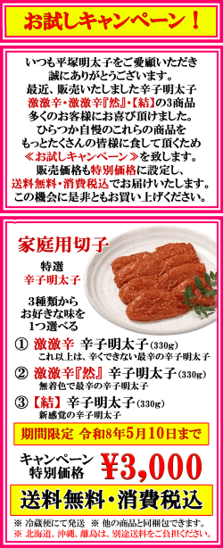 お試しキャンペーン 期間限定！　送料無料・消費税込