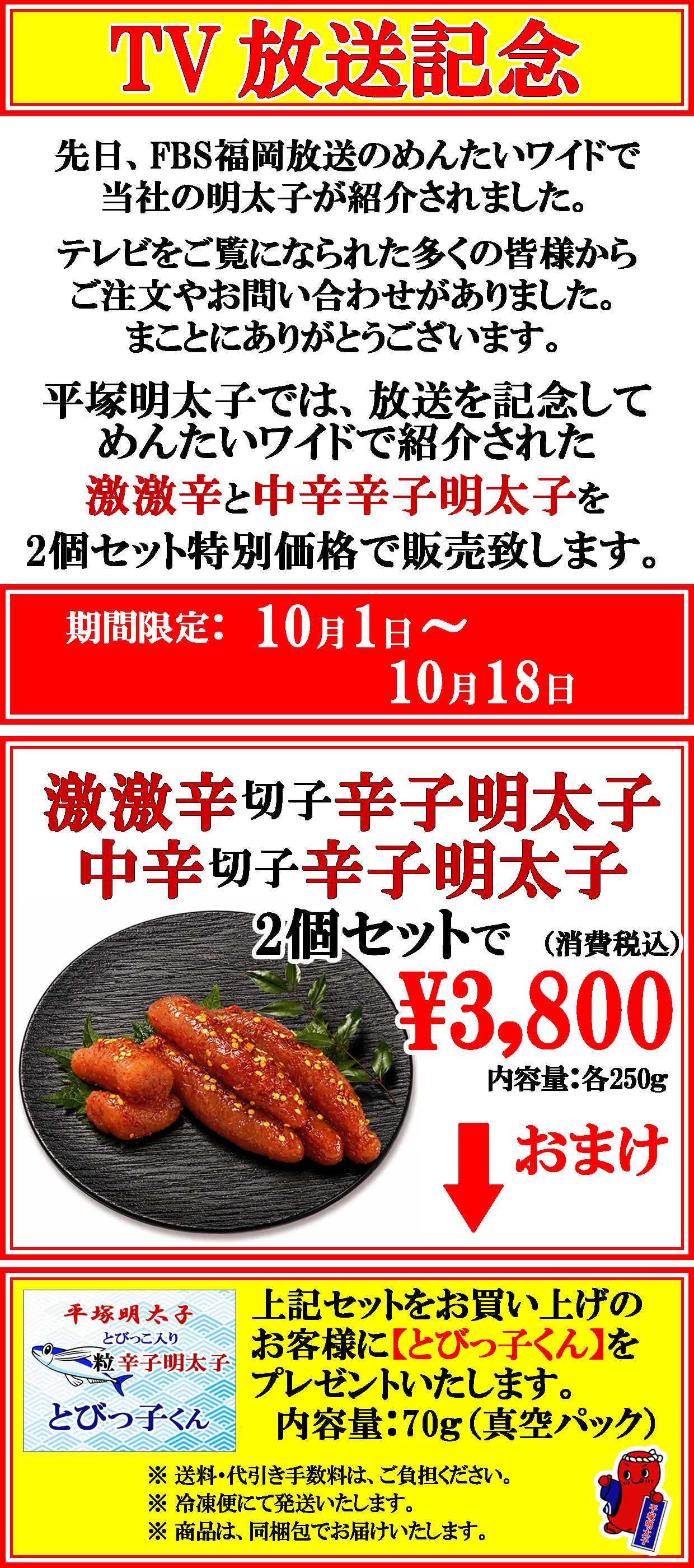 TV 放送記念　2個セット 特別価格　プレゼント付　