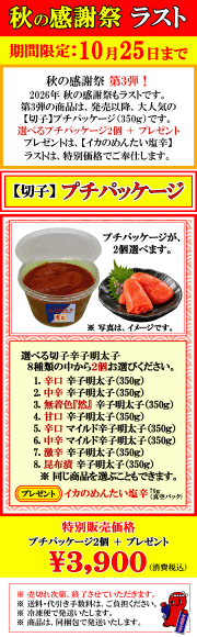 特別価格　今年最後の秋の感謝祭　大人気のプチパッケージ　プレゼント付！